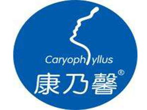 康乃馨產后恢復加盟投資解析 總投資14.8萬元起，加盟費用詳解與咨詢指南