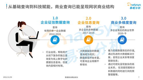 中國(guó)商業(yè)查詢市場(chǎng)分析2021
